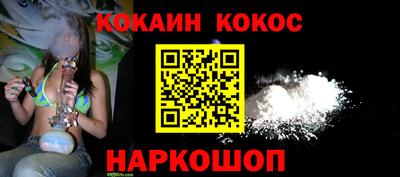 гашик Боровичи
