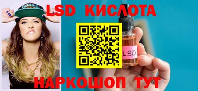 гашик Боровичи