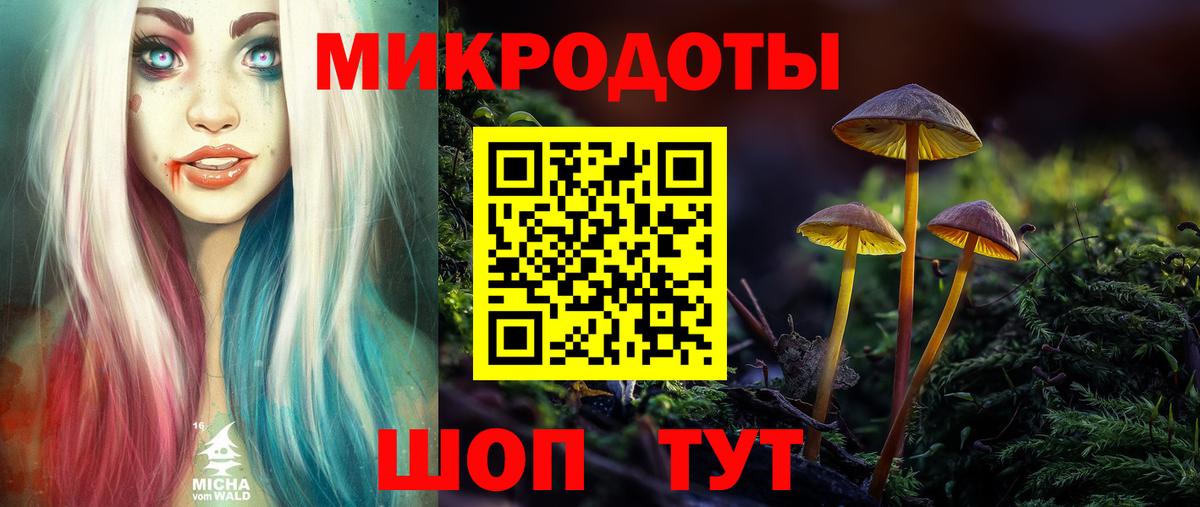 Галлюциногенные грибы мицелий  Вход с VPN  Псилоцибиновые грибы прущие грибы  Лесной 