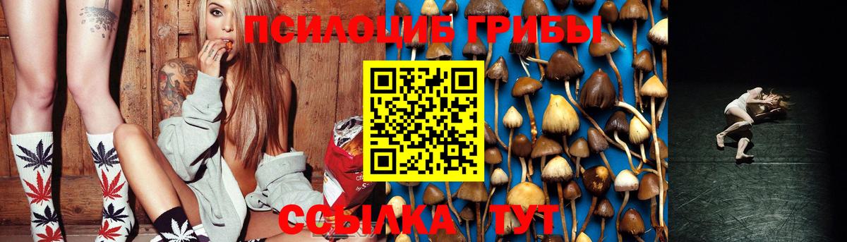 Галлюциногенные грибы GOLDEN TEACHER Лесной
